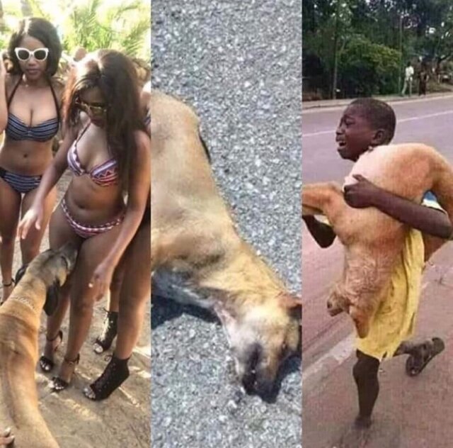 Bildschirmarbeiter - Picdump 15.11.2019 - Nachschlag