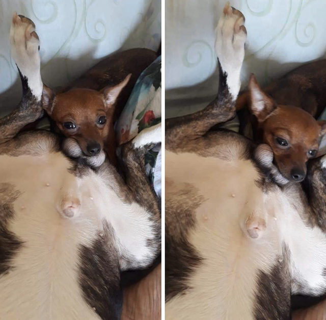 Bildschirmarbeiter - Picdump 15.11.2019 - Nachschlag