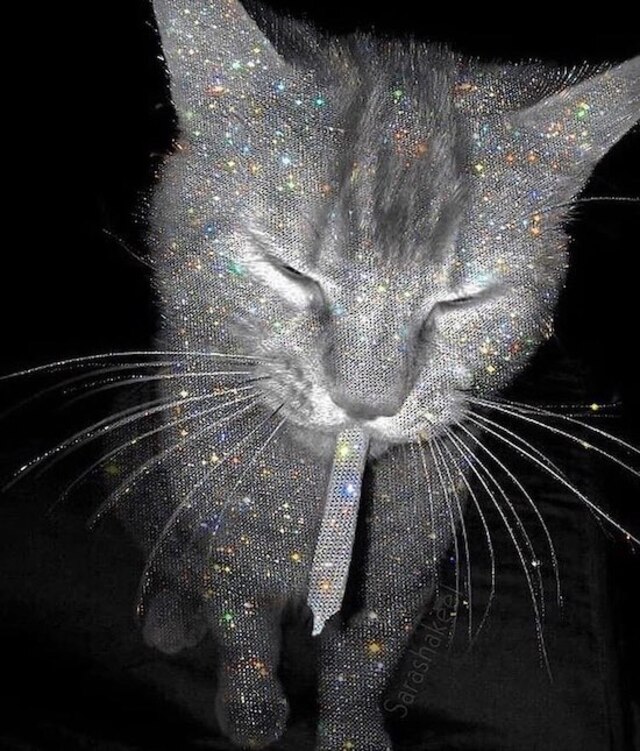 Bildschirmarbeiter - Picdump 15.11.2019 - Nachschlag