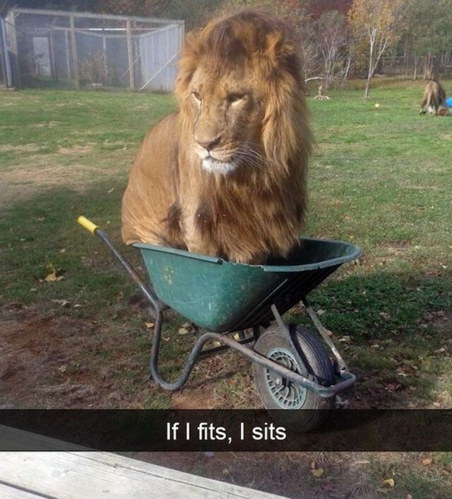 Bildschirmarbeiter - Picdump 15.11.2019 - Nachschlag