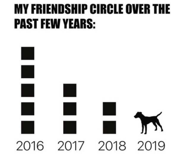 Bildschirmarbeiter - Picdump 15.11.2019 - Nachschlag