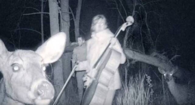 Bildschirmarbeiter - Picdump 15.11.2019