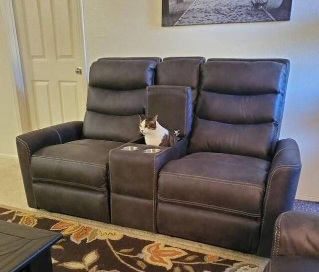 Bildschirmarbeiter - Picdump 15.11.2019