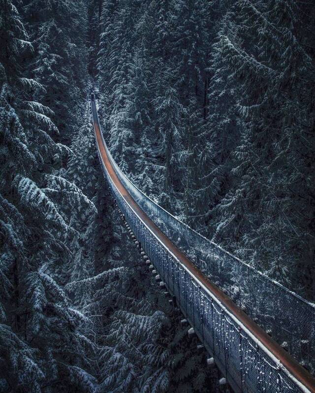 Bildschirmarbeiter - Picdump 15.11.2019