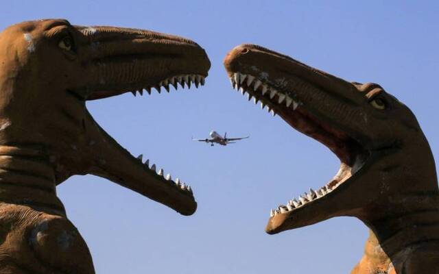 Bildschirmarbeiter - Picdump 15.11.2019