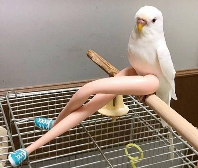 Bildschirmarbeiter - Picdump 15.11.2019