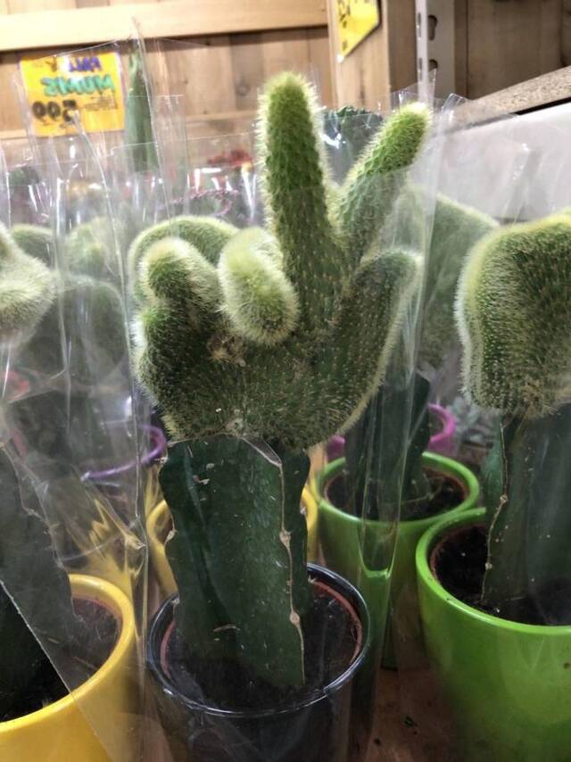 Bildschirmarbeiter - Picdump 15.11.2019