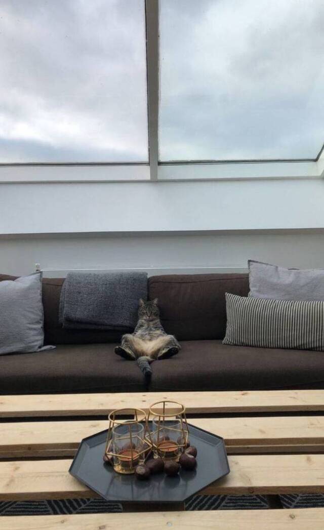 Bildschirmarbeiter - Picdump 15.11.2019