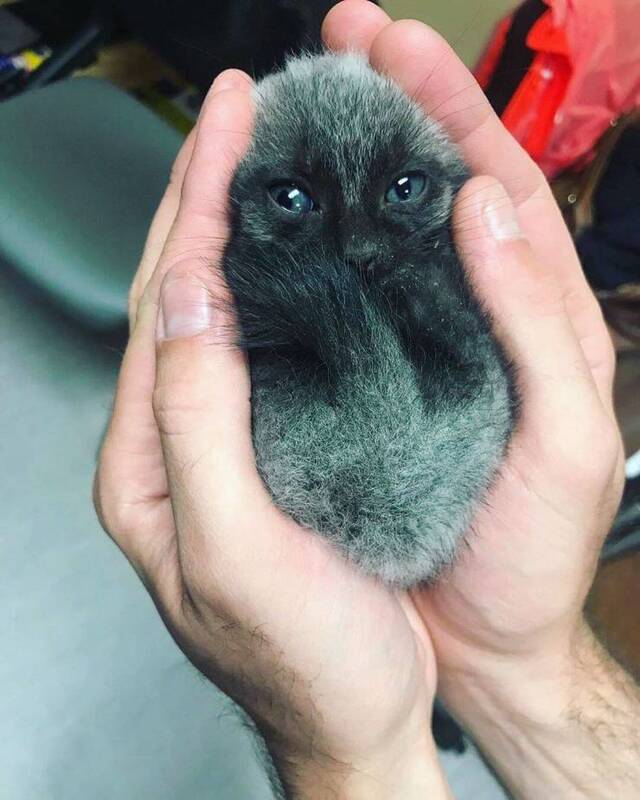 Bildschirmarbeiter - Picdump 15.11.2019