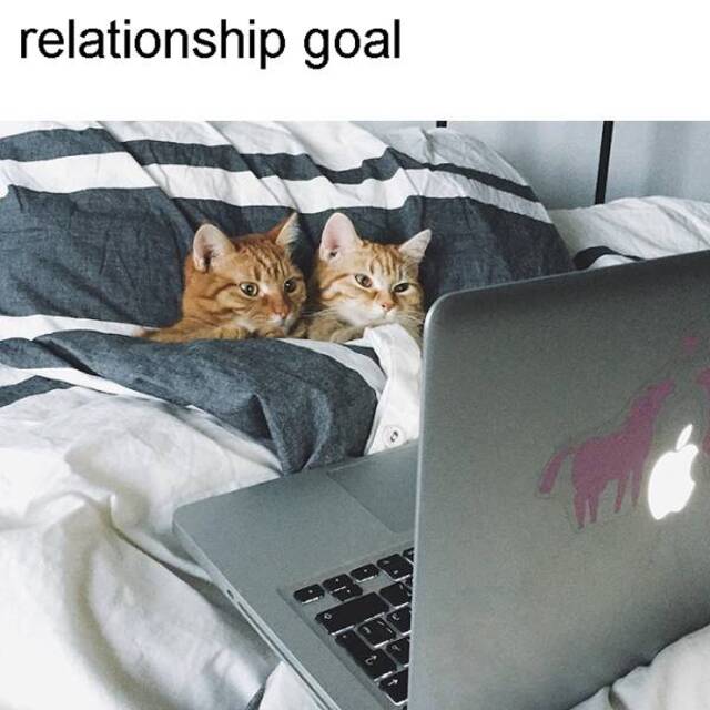 Bildschirmarbeiter - Picdump 15.11.2019