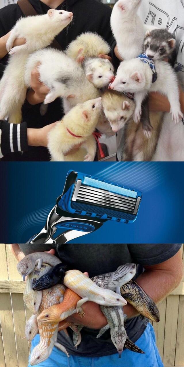 Bildschirmarbeiter - Picdump 22.11.2019