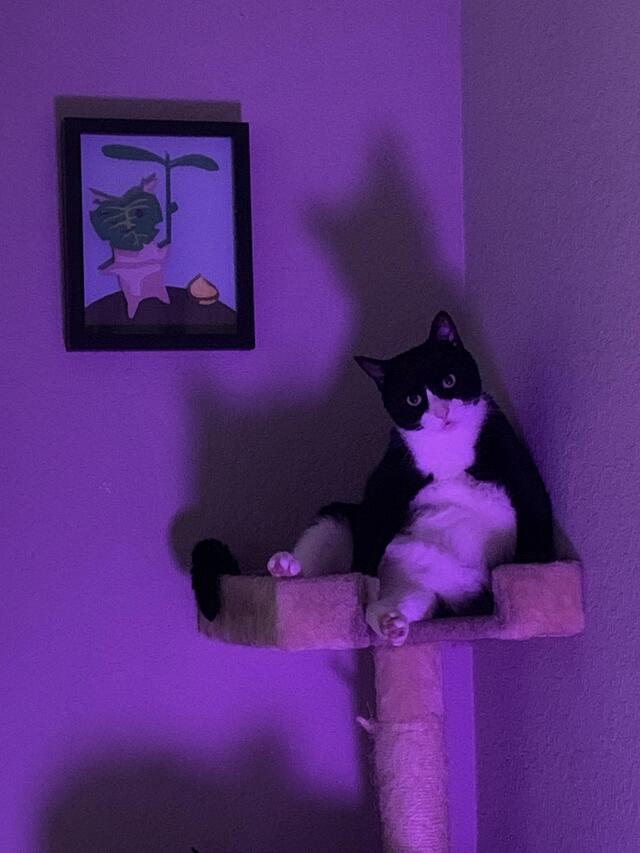 Bildschirmarbeiter - Picdump 22.11.2019