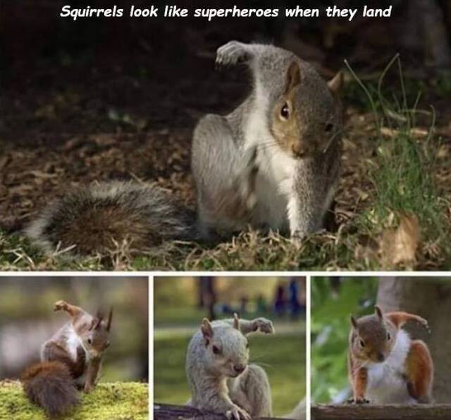 Bildschirmarbeiter - Picdump 22.11.2019