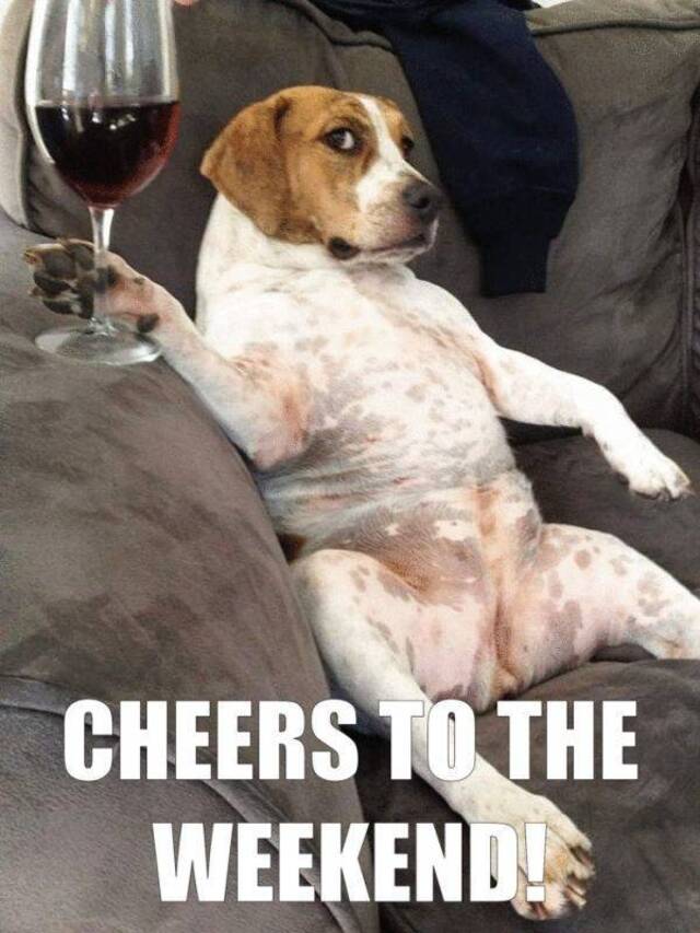 Bildschirmarbeiter - Picdump 22.11.2019