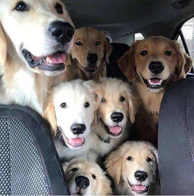 Bildschirmarbeiter - Picdump 22.11.2019