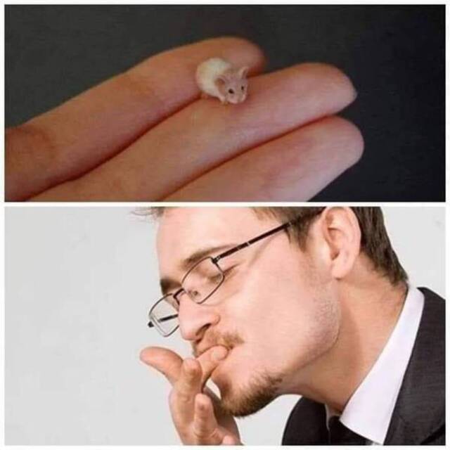 Bildschirmarbeiter - Picdump 22.11.2019