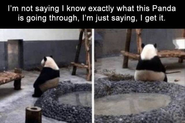 Bildschirmarbeiter - Picdump 22.11.2019