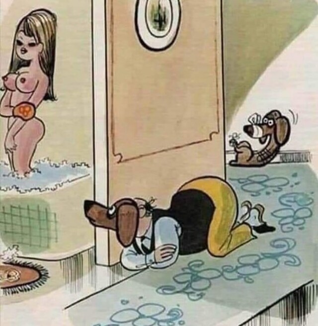 Bildschirmarbeiter - Picdump 22.11.2019