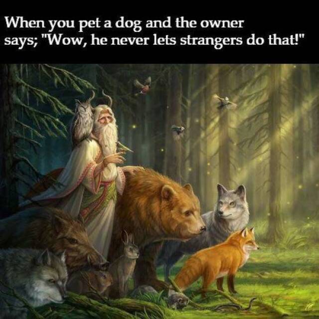 Bildschirmarbeiter - Picdump 22.11.2019