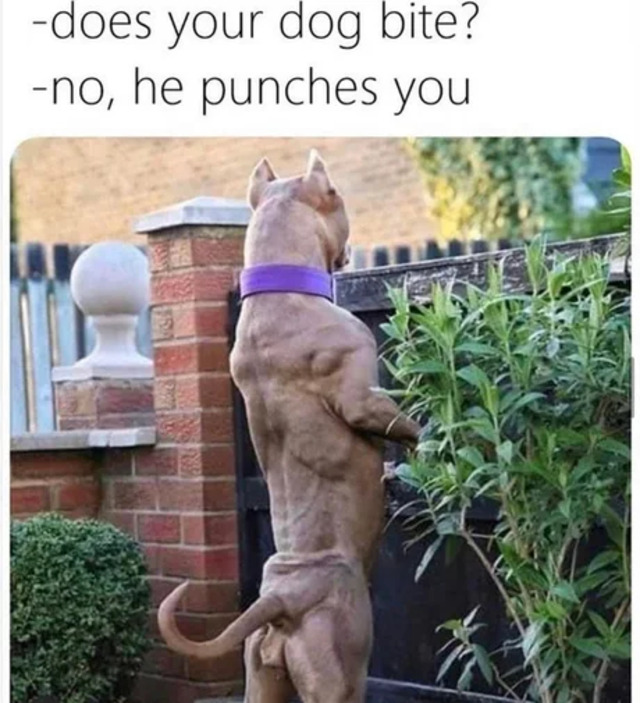 Bildschirmarbeiter - Picdump 29.11.2019