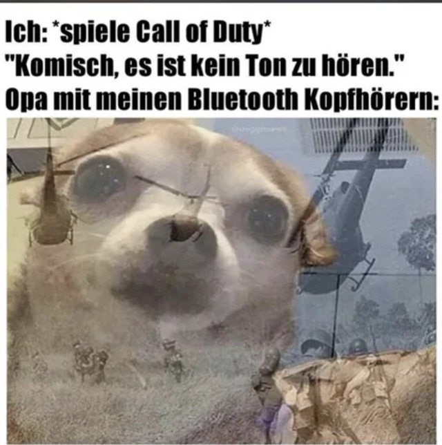 Bildschirmarbeiter - Picdump 29.11.2019