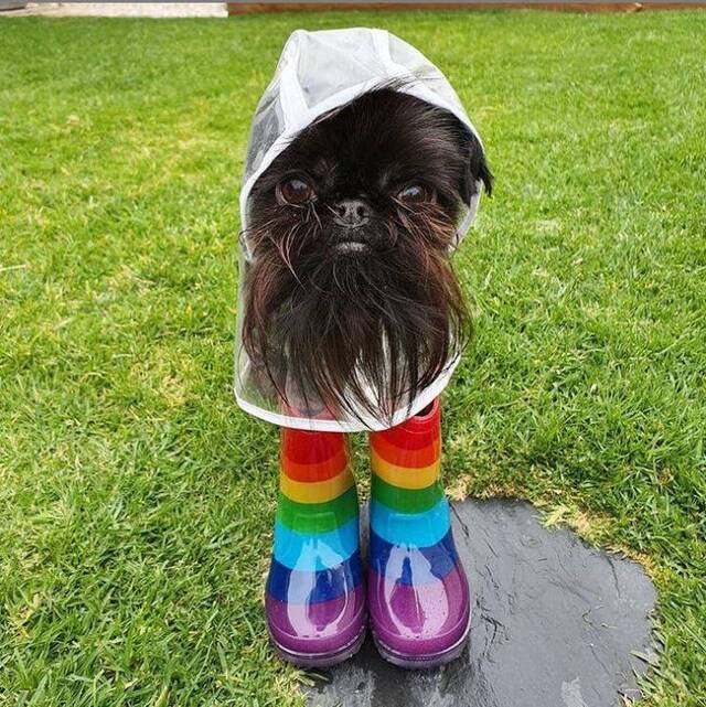 Bildschirmarbeiter - Picdump 29.11.2019