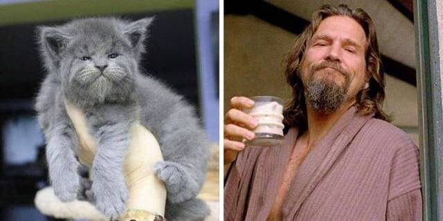 Bildschirmarbeiter - Picdump 29.11.2019