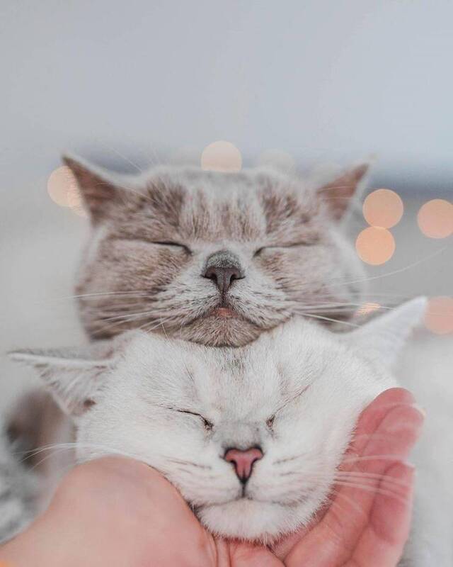 Bildschirmarbeiter - Picdump 29.11.2019