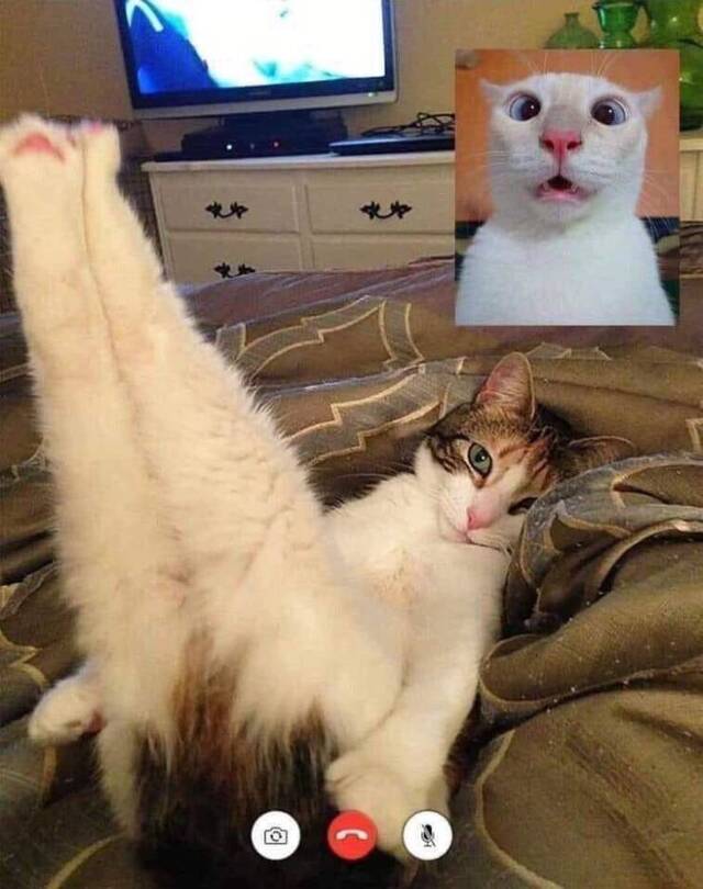 Bildschirmarbeiter - Picdump 29.11.2019