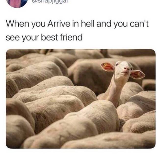 NACHSCHLAG - Bildschirmarbeiter - Picdump 06.12.2019