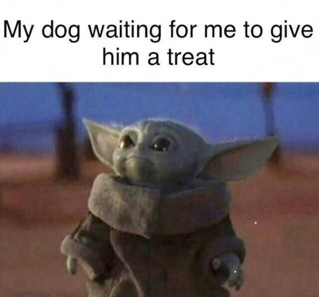 NACHSCHLAG - Bildschirmarbeiter - Picdump 06.12.2019