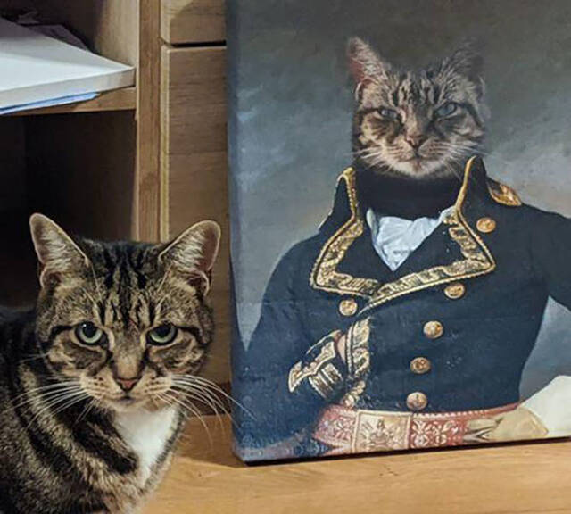 NACHSCHLAG - Bildschirmarbeiter - Picdump 06.12.2019