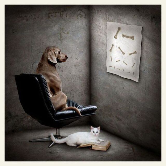 NACHSCHLAG - Bildschirmarbeiter - Picdump 06.12.2019