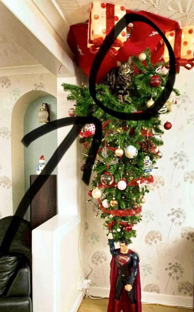 Bildschirmarbeiter - Picdump 06.12.2019