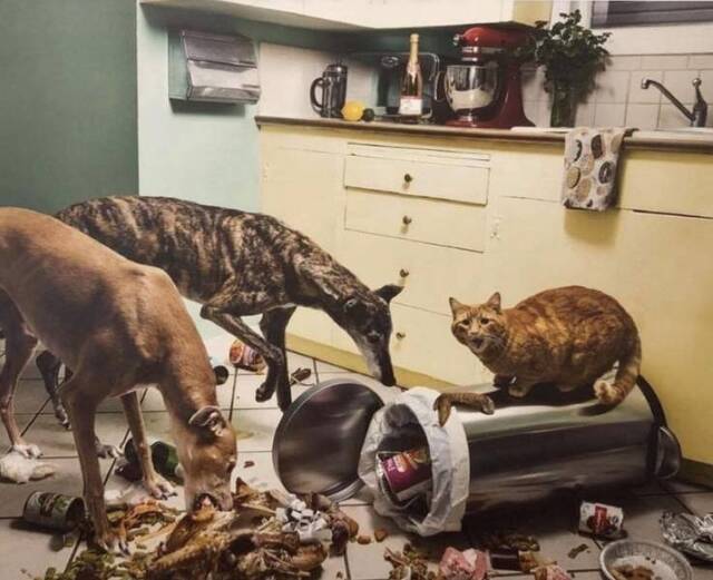 Bildschirmarbeiter - Picdump 06.12.2019