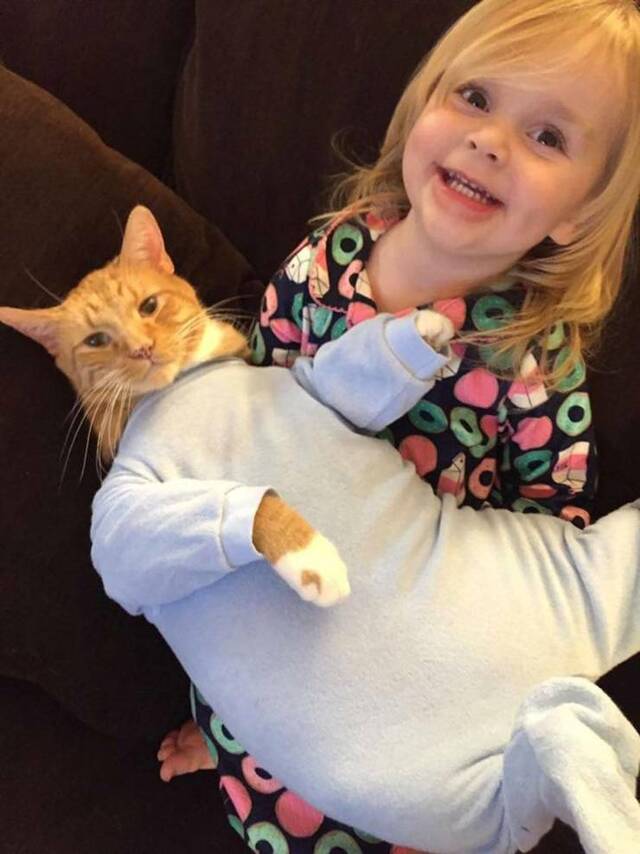 Bildschirmarbeiter - Picdump 06.12.2019