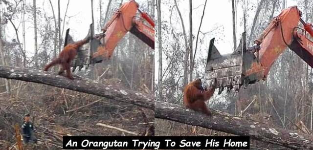 Bildschirmarbeiter - Picdump 06.12.2019