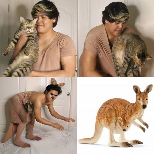 Bildschirmarbeiter - Picdump 06.12.2019