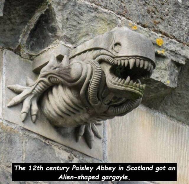 Bildschirmarbeiter - Picdump 06.12.2019