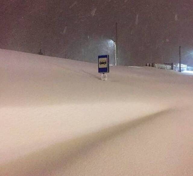 Bildschirmarbeiter - Picdump 06.12.2019