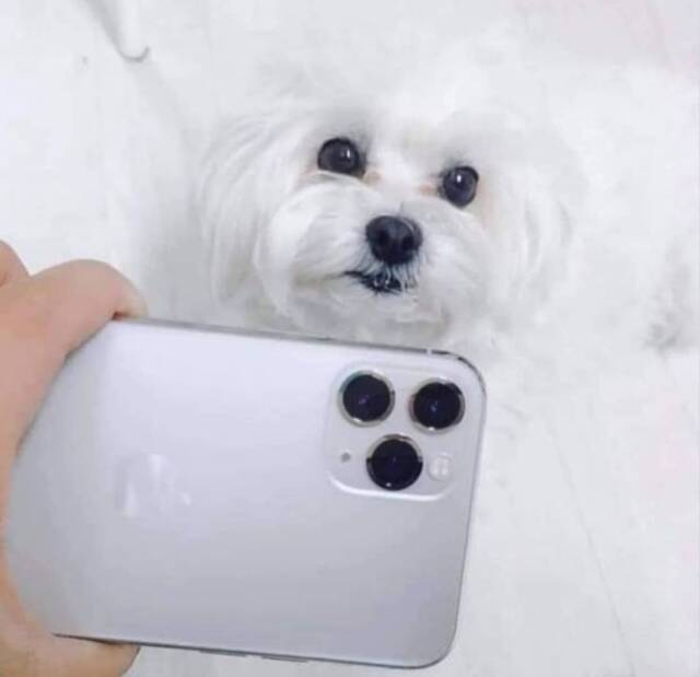 Bildschirmarbeiter - Picdump 06.12.2019