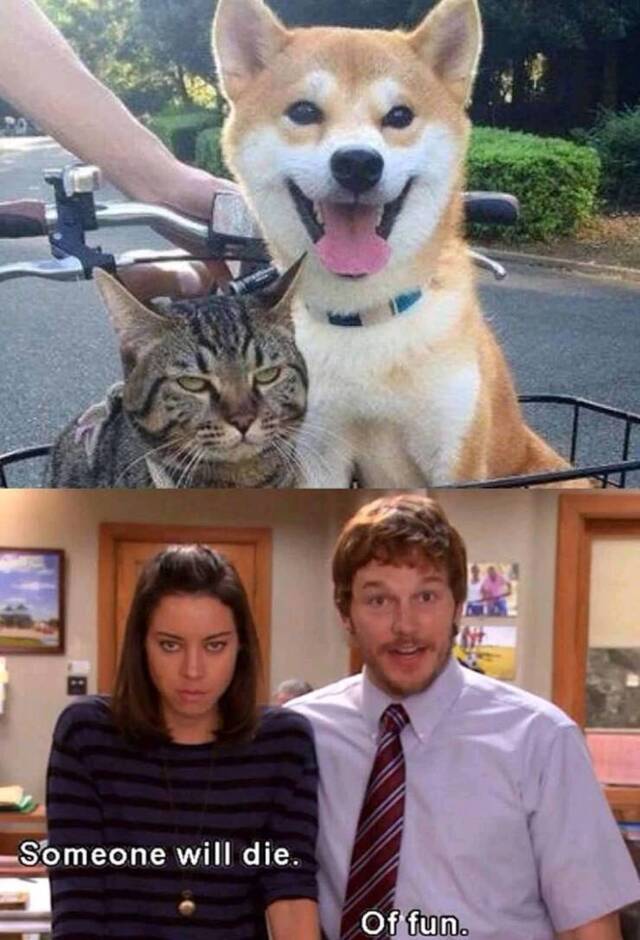 Bildschirmarbeiter - Picdump 06.12.2019