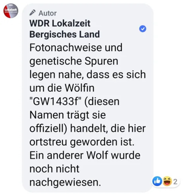 Bildschirmarbeiter - Picdump 13.12.2019