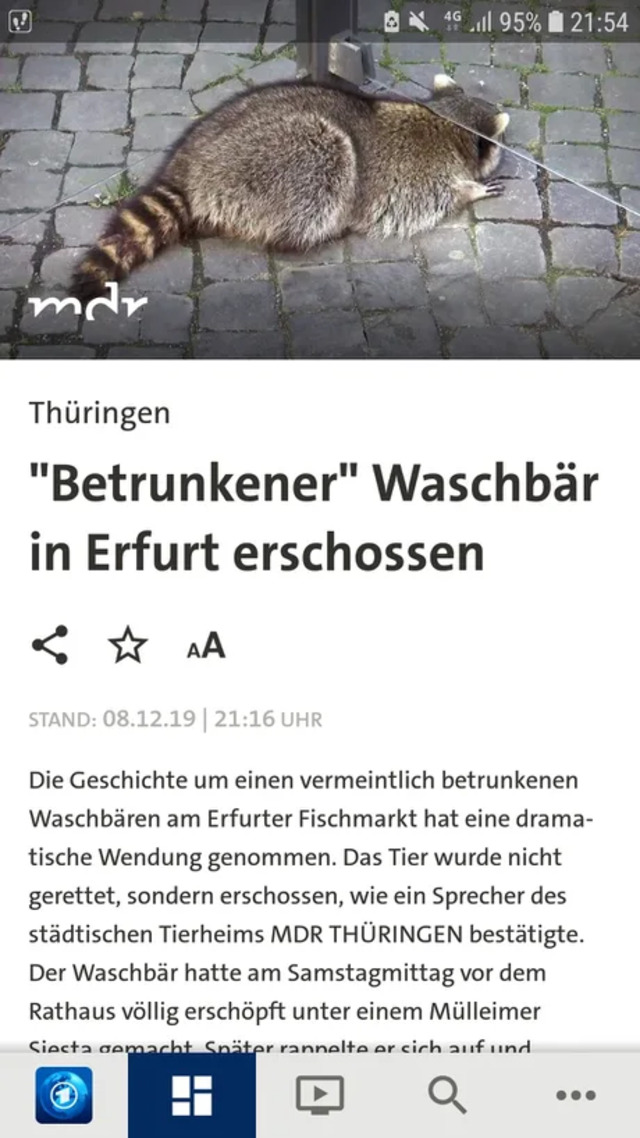 Bildschirmarbeiter - Picdump 13.12.2019