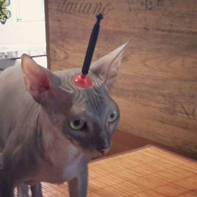 Bildschirmarbeiter - Picdump 13.12.2019