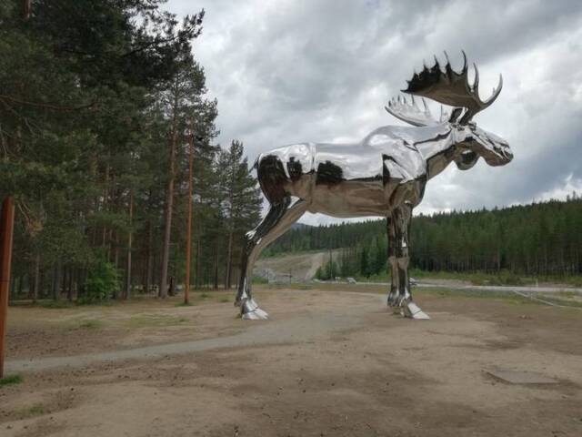 Bildschirmarbeiter - Picdump 13.12.2019