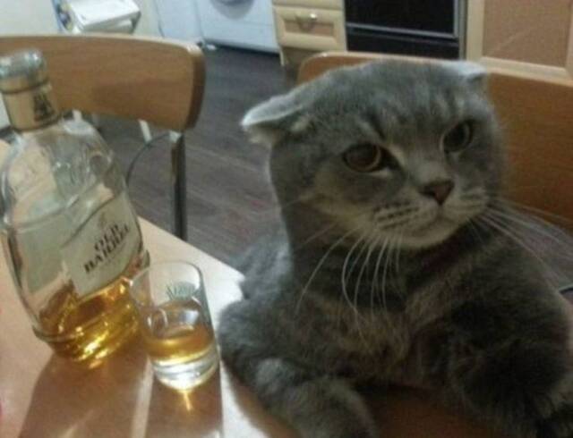 Bildschirmarbeiter - Picdump 13.12.2019