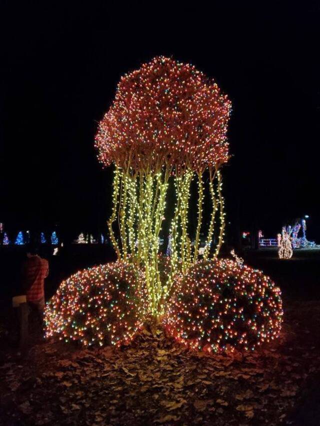 Bildschirmarbeiter - Picdump 13.12.2019