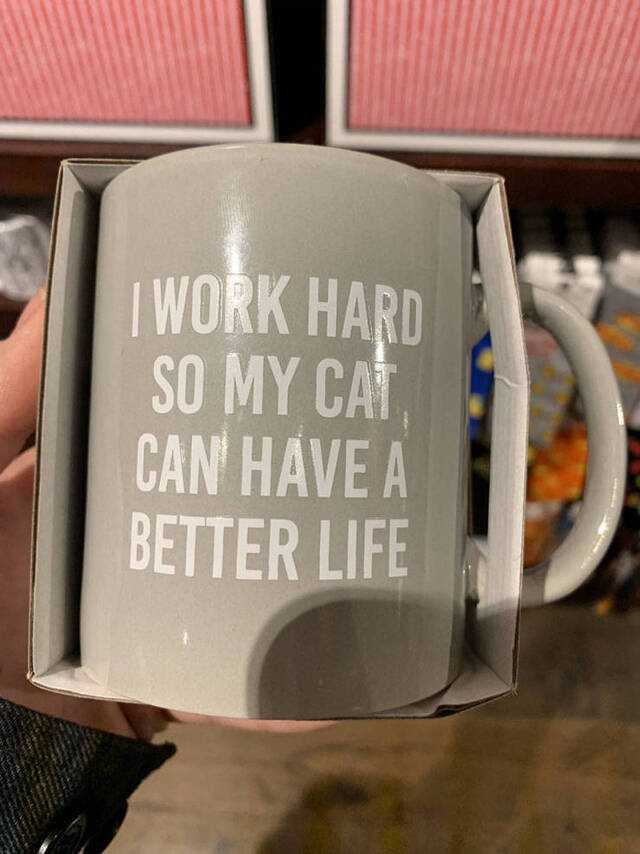 Bildschirmarbeiter - Picdump 13.12.2019