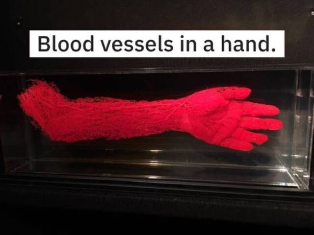 Bildschirmarbeiter - Picdump 24.12.2019